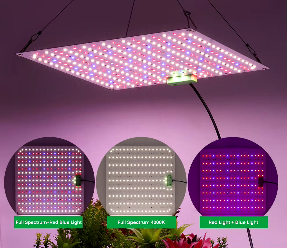 Samsung LM281B LED Grow Light 5 Levels Dimmable 4000K Full Spectrum Indoor plant