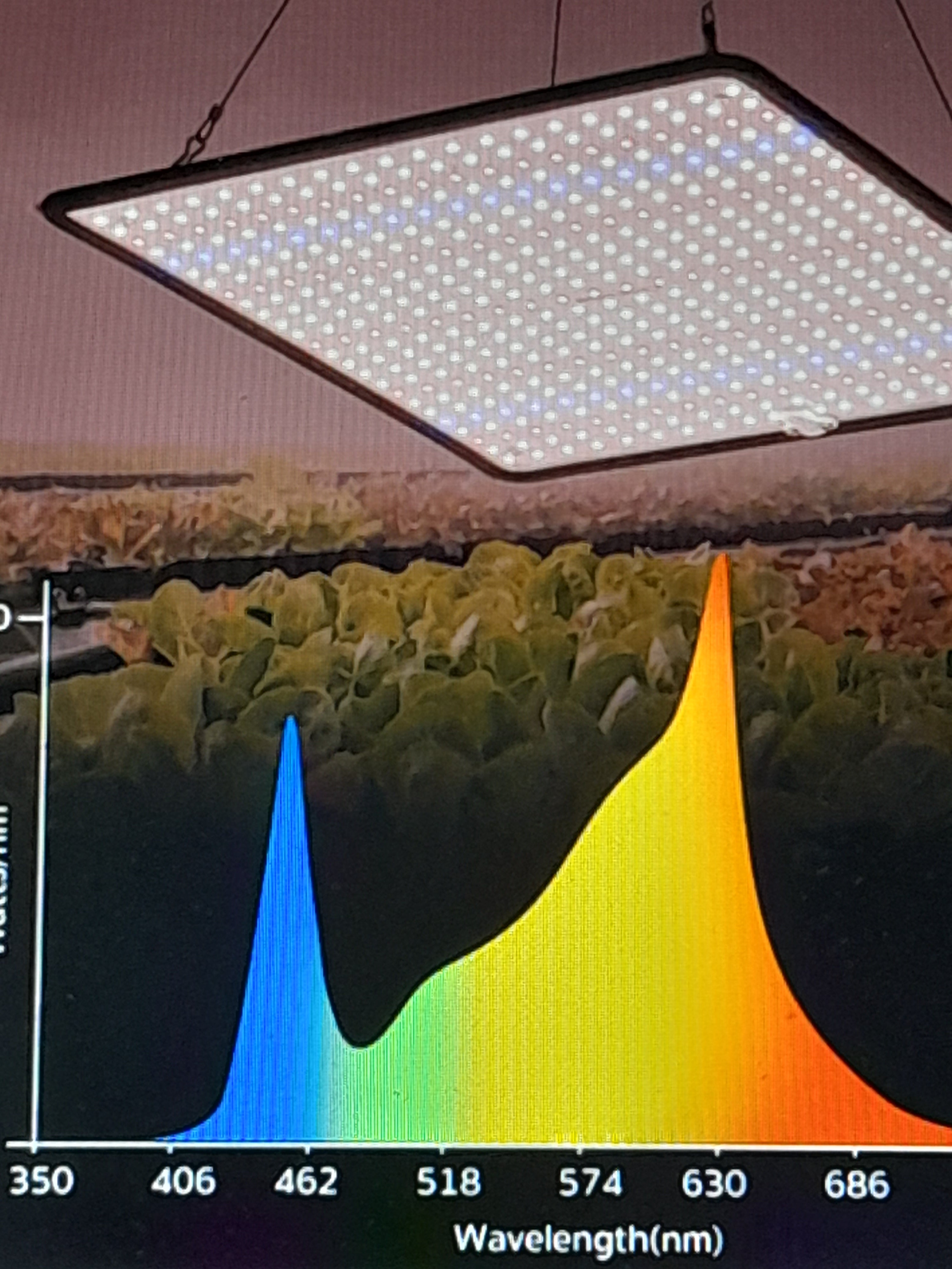 LED Grow Light Full Spectrum 1200W (3-Pack) - 40W Actual Power for Indoor Plants