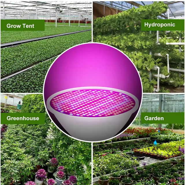 LED Grow Bulbs
