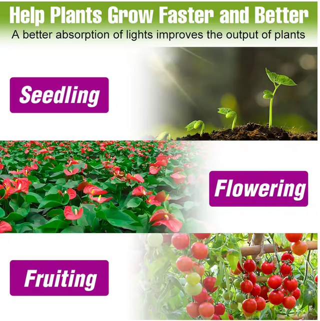 LED Grow Bulbs