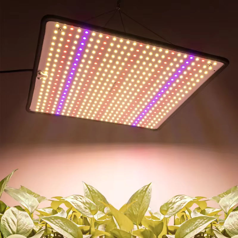 Samsung Grow Light Quantum Board 500 LEDs Full Spectrum Growth Light 1200W