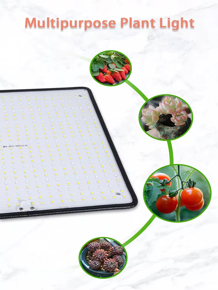 Samsung Grow Light Quantum Board 500 LEDs Full Spectrum Growth Light 1200W