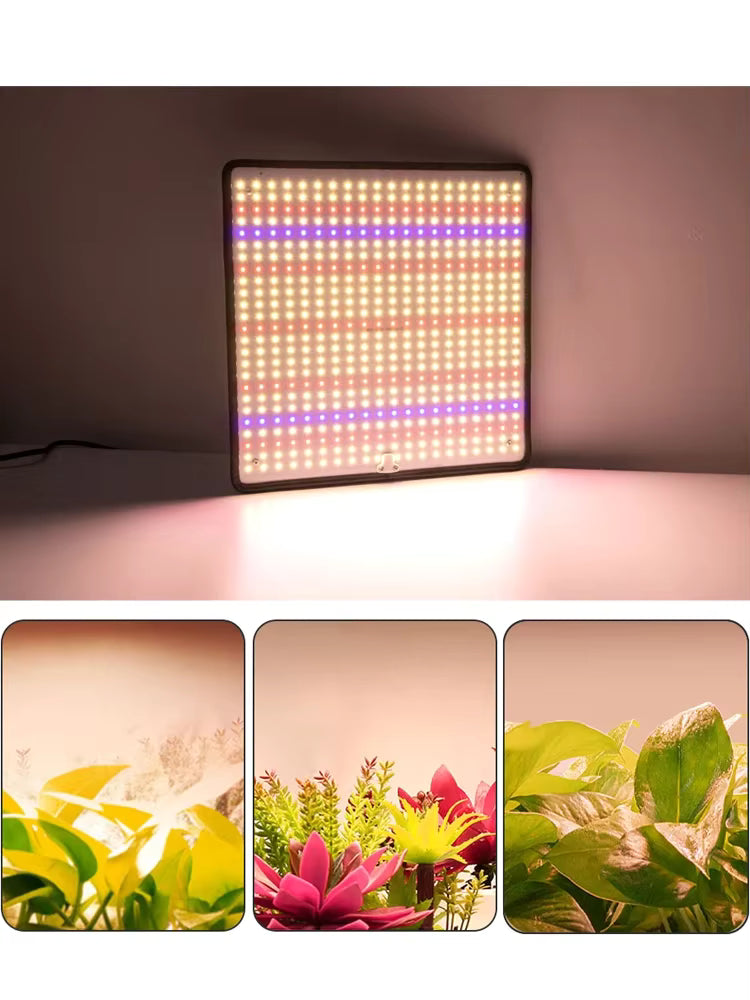Samsung Grow Light Quantum Board 500 LEDs Full Spectrum Growth Light 1200W